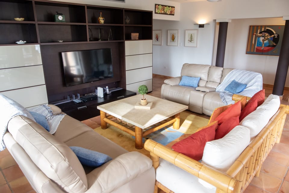 Upholstered, deep-cushion, couches with color-coordinated throw cushions.
