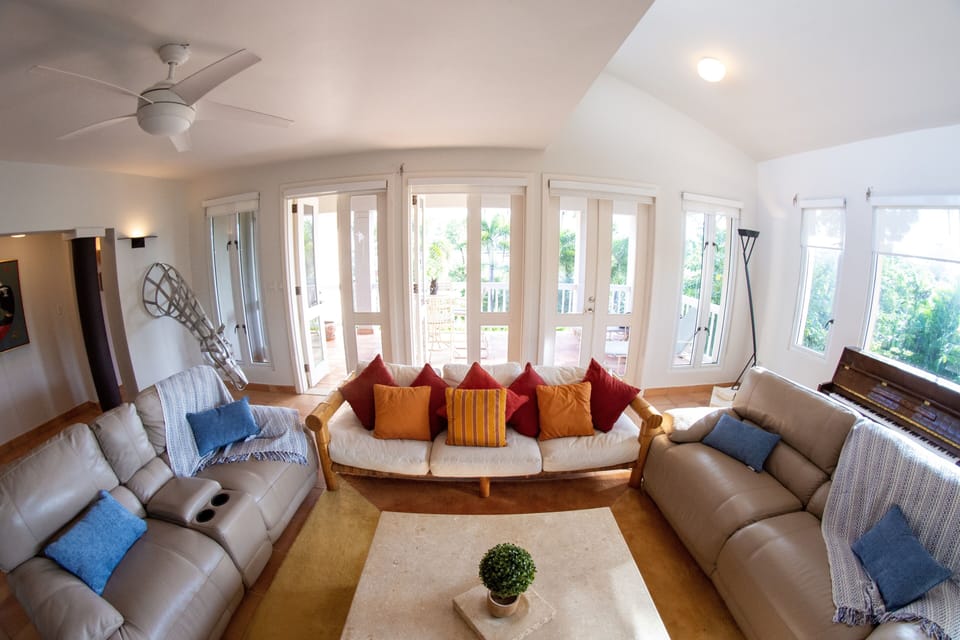 Upholstered, deep-cushion, couches with color-coordinated throw cushions.
