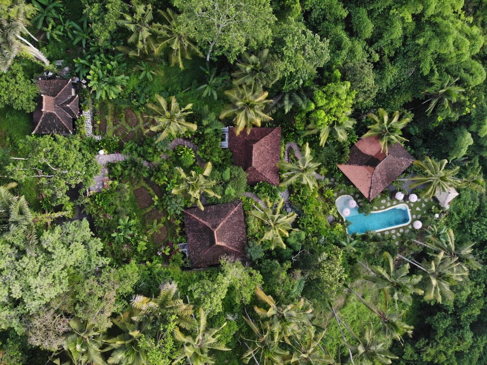 Top View