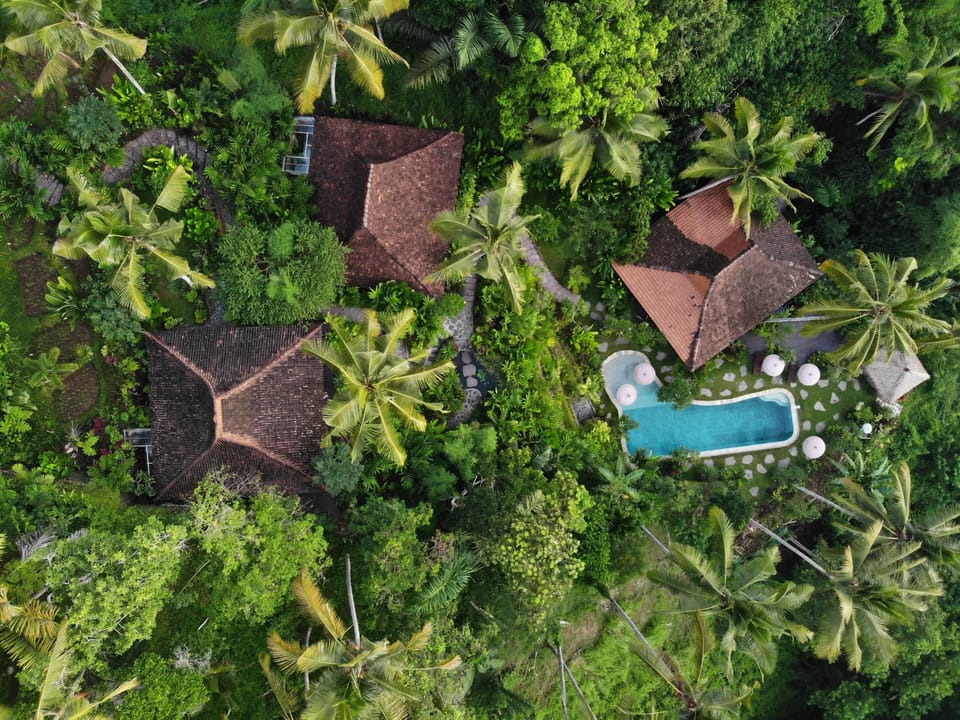 Top View