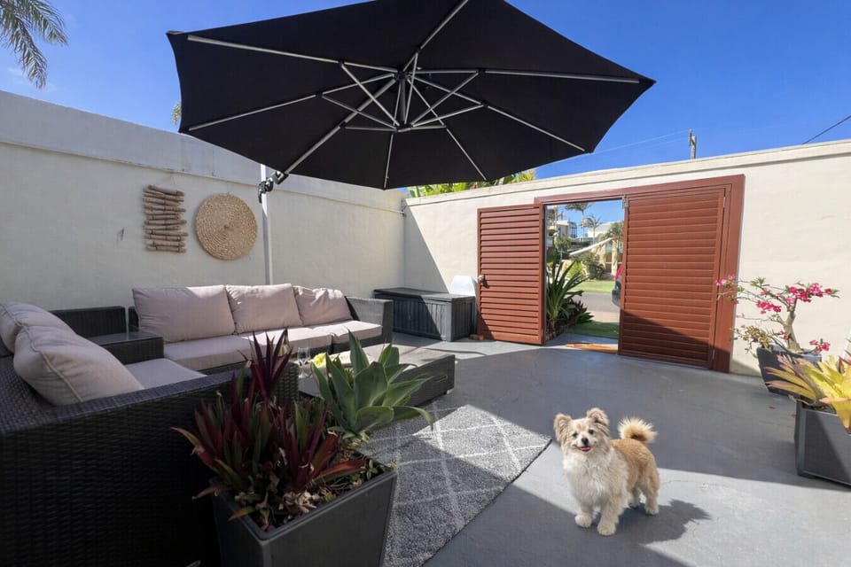 Bring your furry friend. The dog beach is a few minutes walk from the unit.