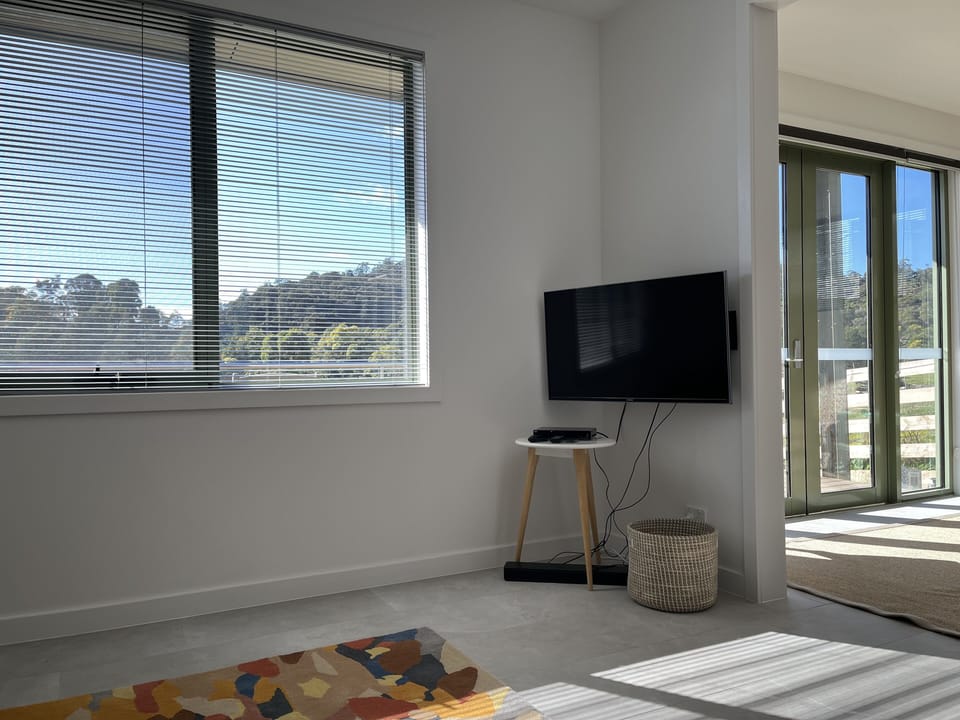 Smart TV, DVD and Bose sound bar