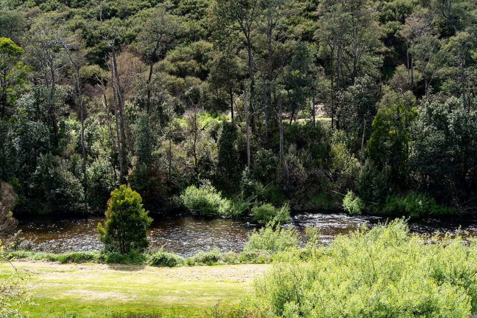 Overlooking the river and trails