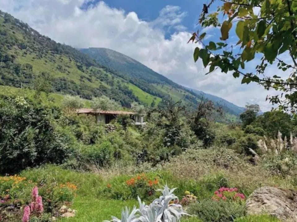 View of the Mountains