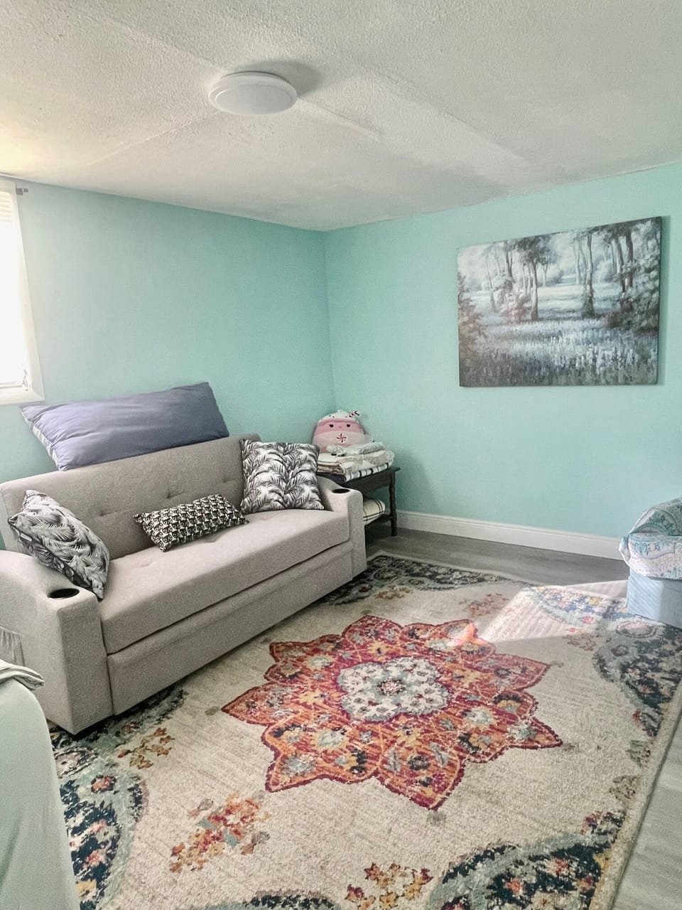 Spacious "Bonus room , off from Ensuite Main bedroom, standard pull out couch