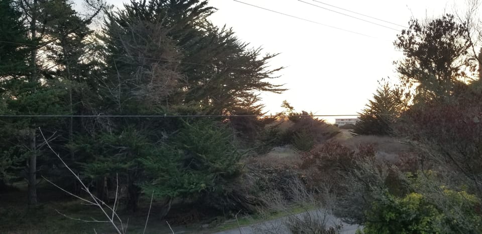 View of Lighthouse Field