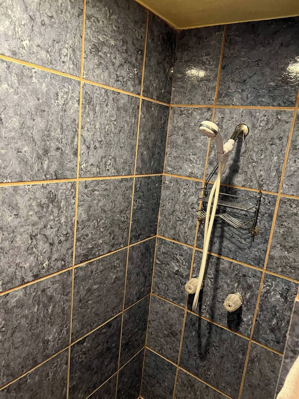 Tiled walk-in shower