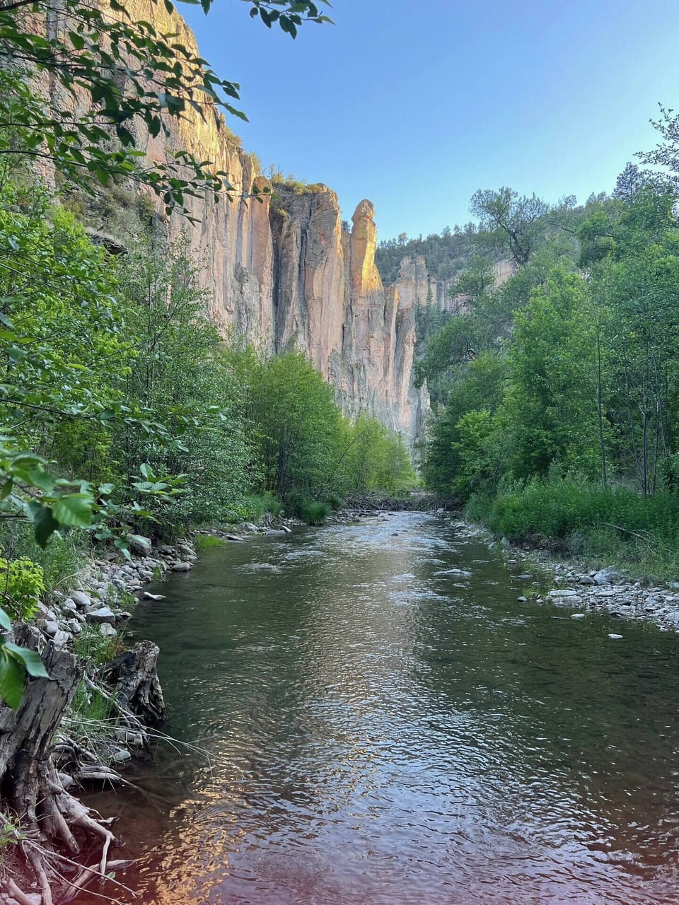 The Gila River is a great place to cool off in the summer or do some trout fishing!  Easily accessible at the Forks Campground or the Gila Hot Springs.  Or to access this particular spot, enjoy the breathtaking hike through Little Bear Canyon!