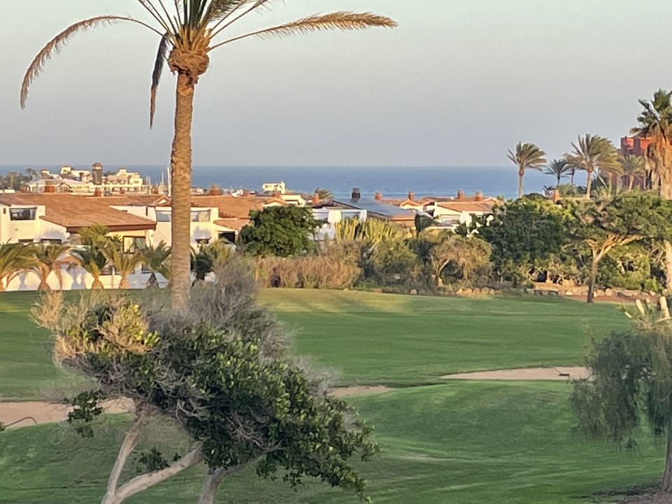 View of the golf course from the patio, offering an oasis of green vegetation.