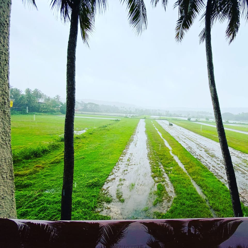 View from property
