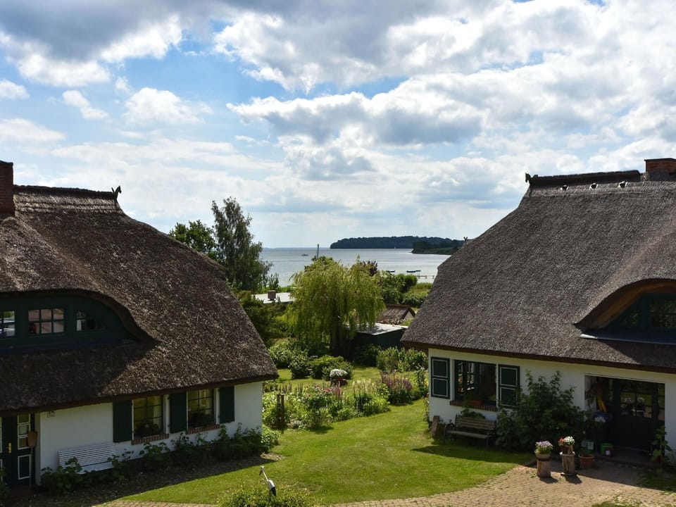 View from the window