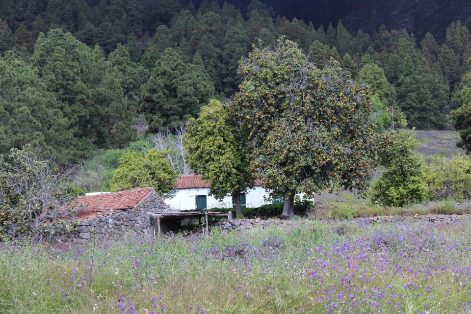 Caldera de Taburiente