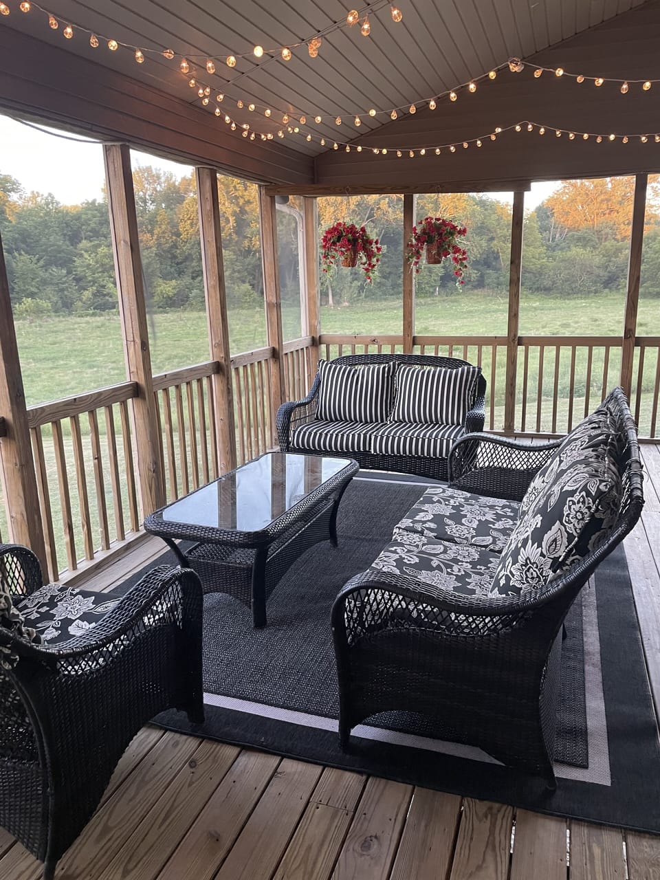 Back deck 