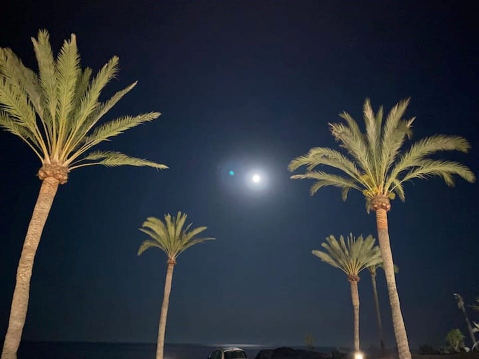 La Herradura by night