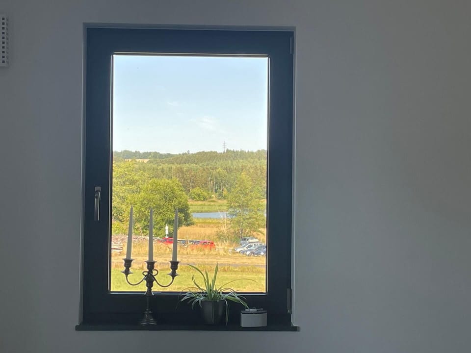 View from the window