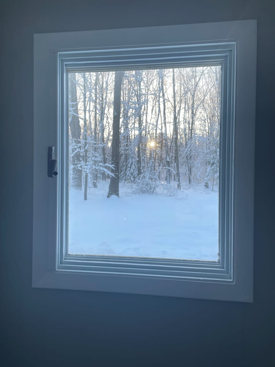 Winter view out family room.