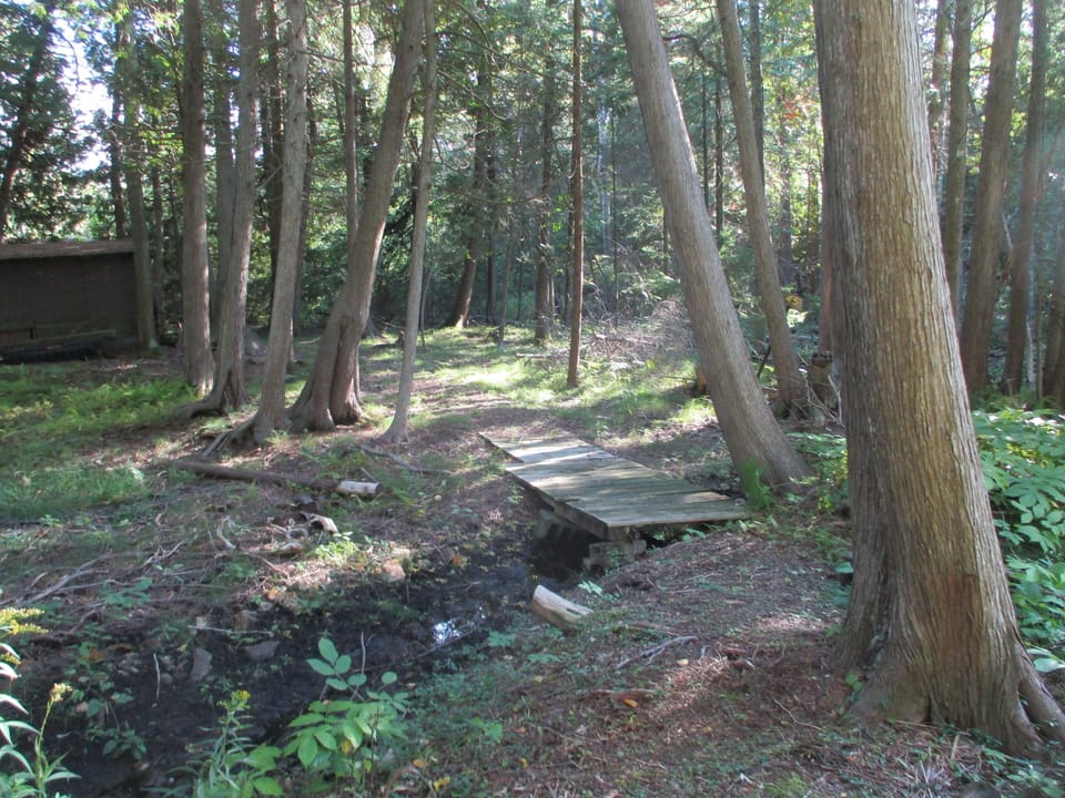 Bridge over creek in backyard