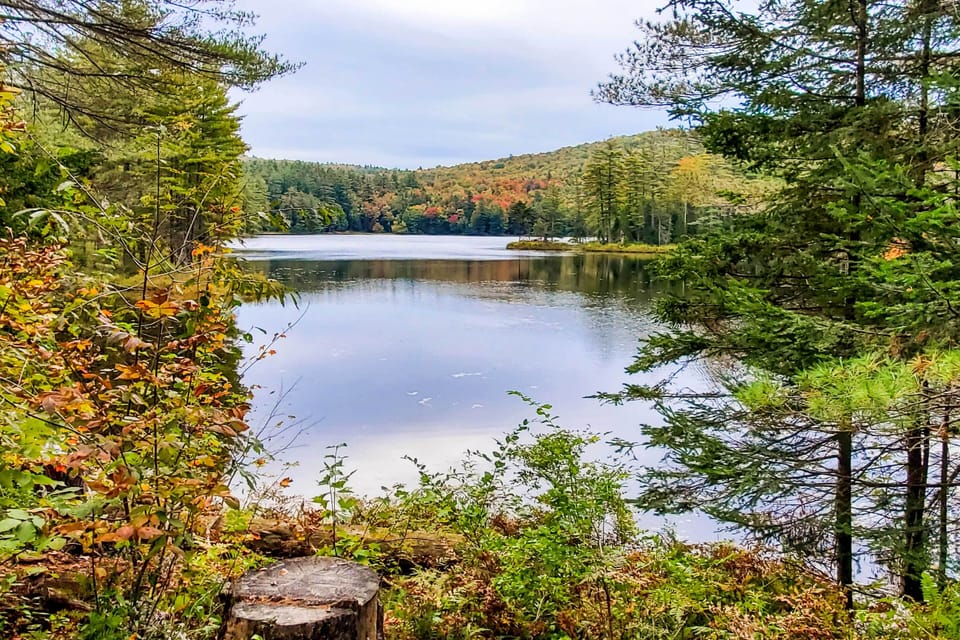 Nearby Pond | Fall Foliage
