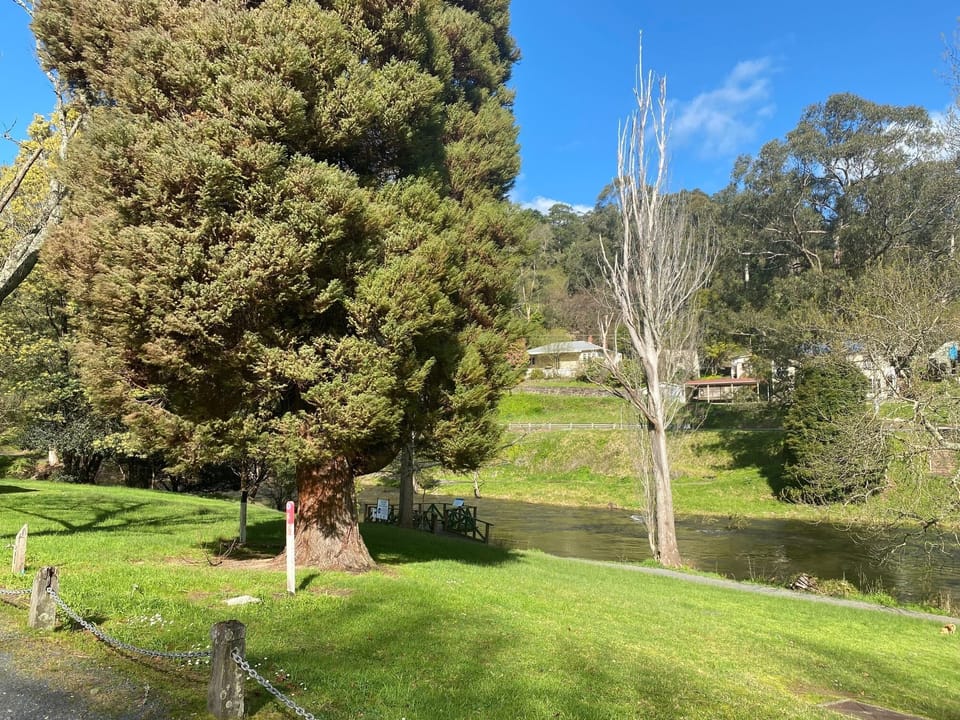 Just a short stroll from The Bank to the famous Yarra River