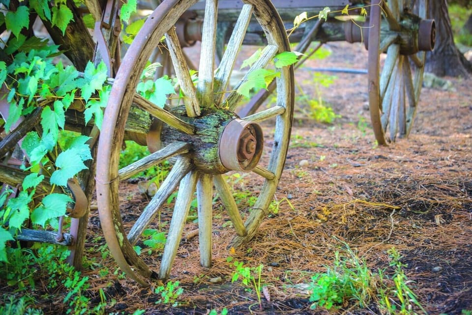 Wheel