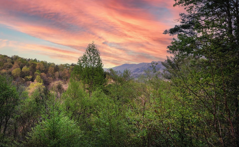 A beautiful view from the porch.