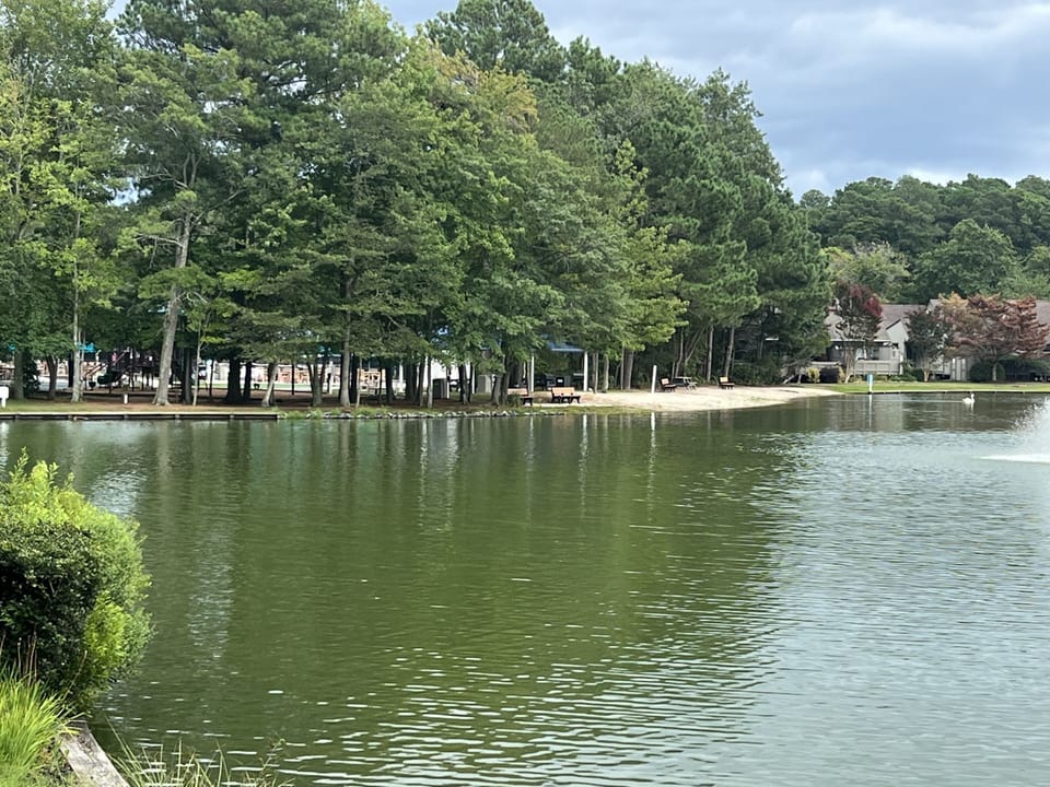 West lake activity center https://www.seacolony.com/west-lake-activity-center