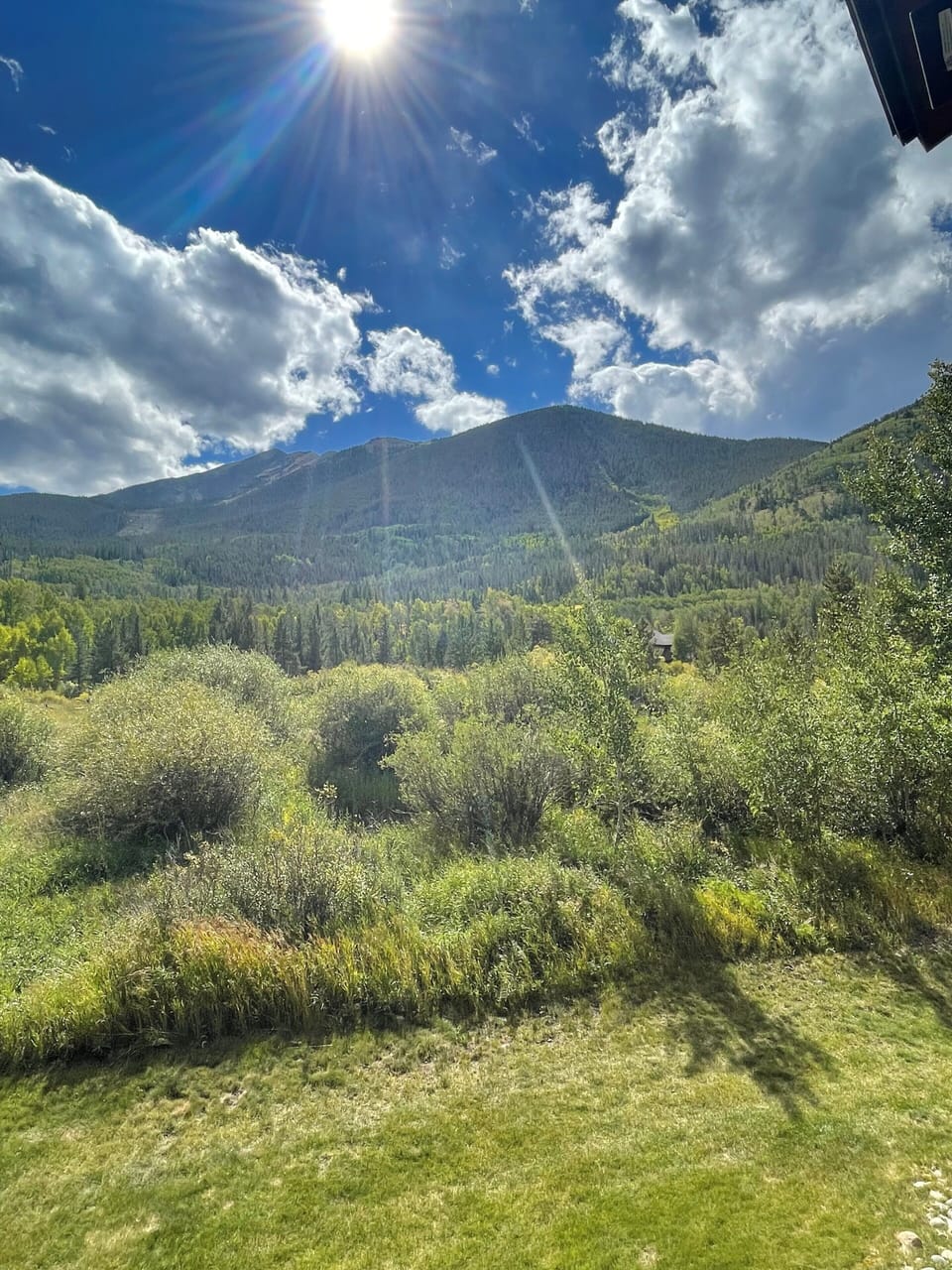 Beautiful views of Peak One of the Ten Mile range. Often see Moose and Wildlife!