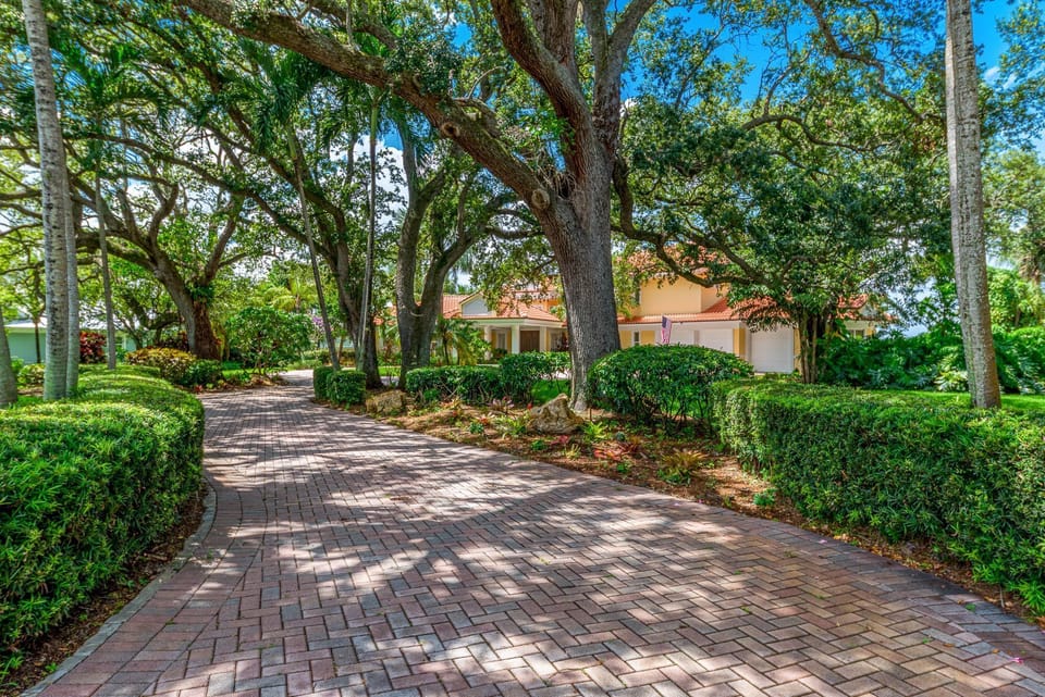 Beautiful tree lined driveway