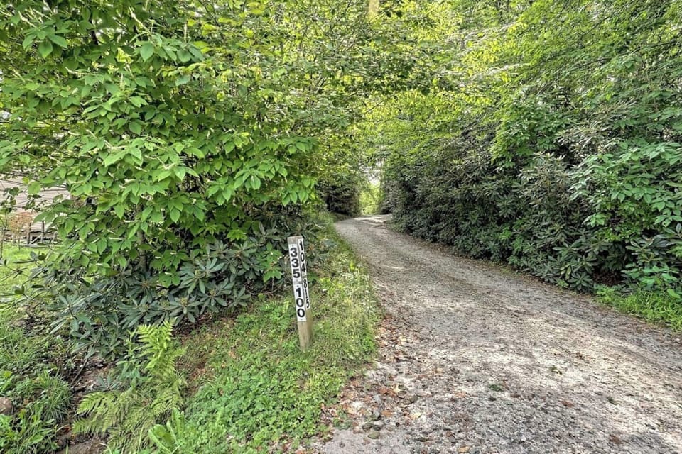 Back driveway up to the house