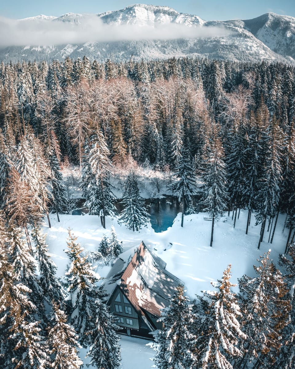Winter wonderland