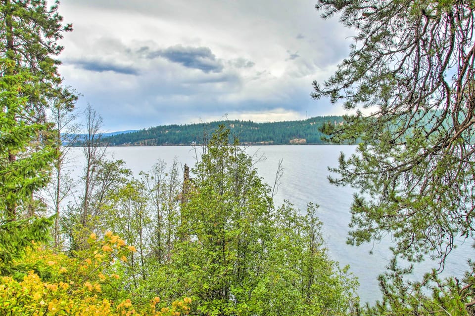 Lake Coeur de'Alene View
