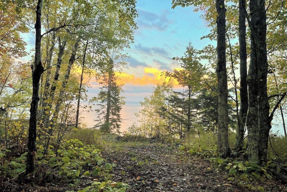 Springtime showing the pathway & clearing overlooking the lake.