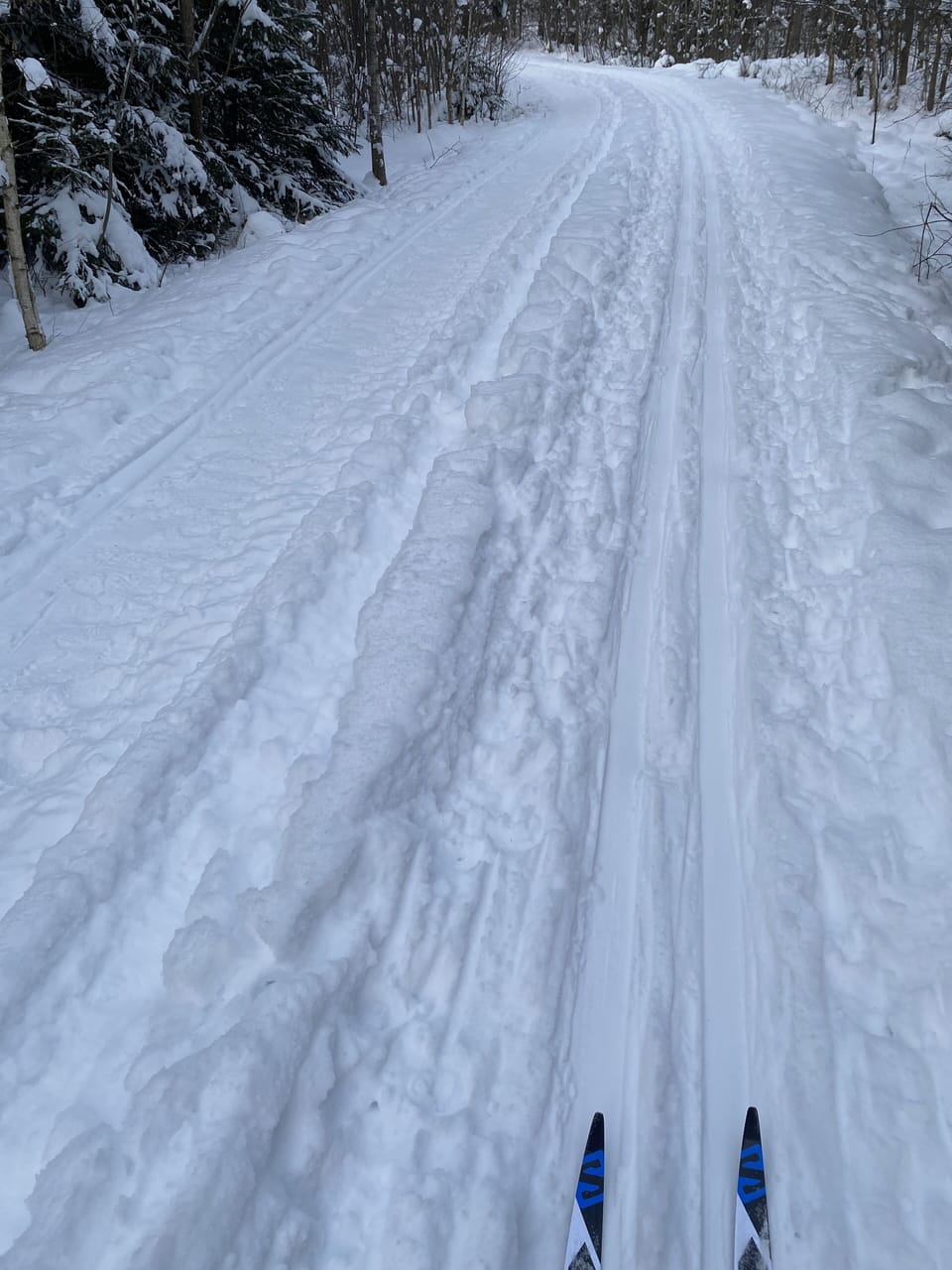 Snow and ski sports