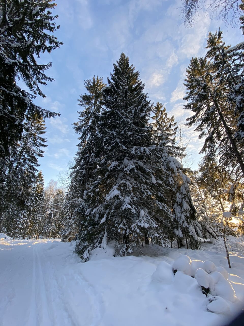 Snow and ski sports