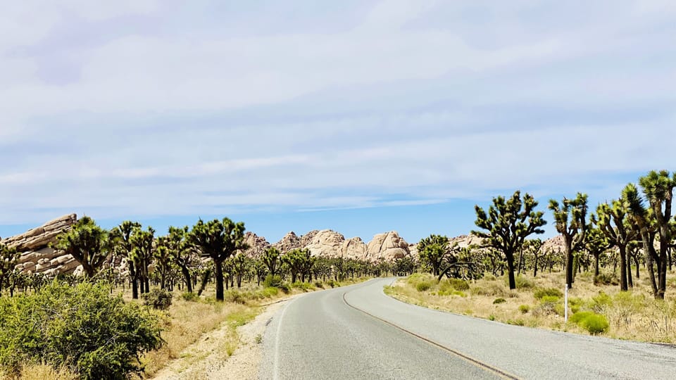 The drive to Joshua Tree National Park