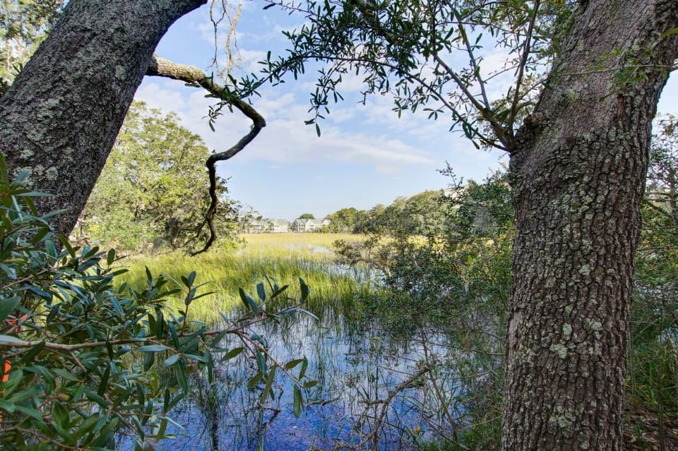 2011 Marsh Walk, View, 1