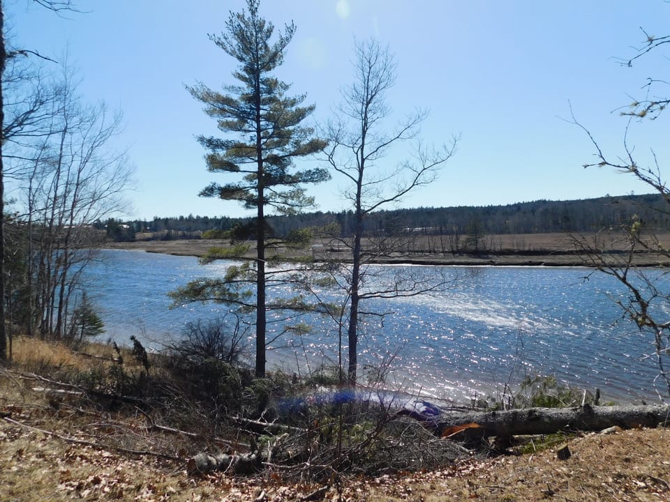 The river from your front yard