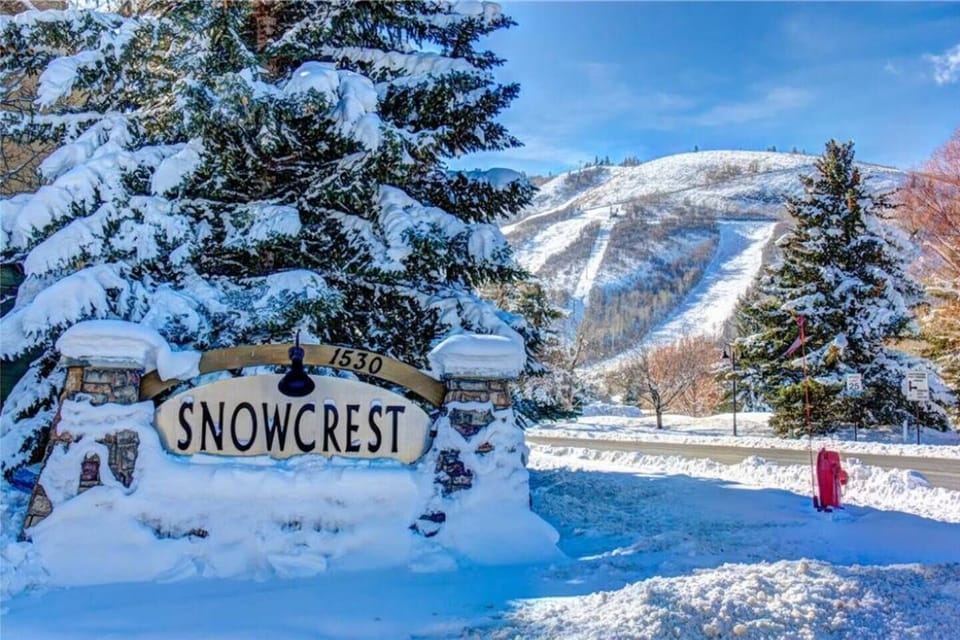 Welcome to Snowcrest—winter magic starts here