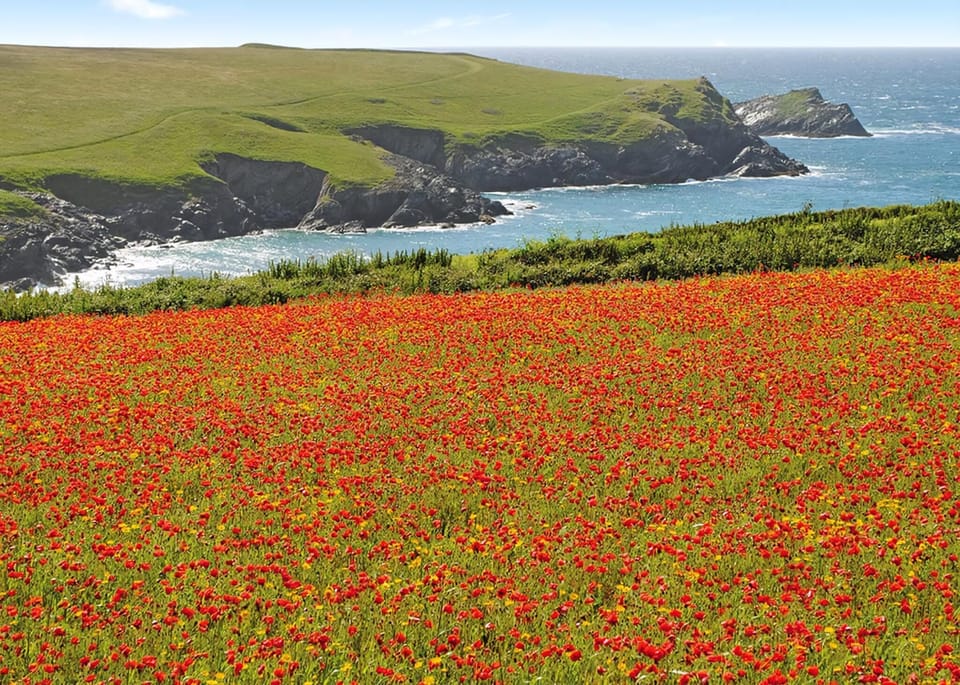 Trevornick Holiday Park, Holywell Bay