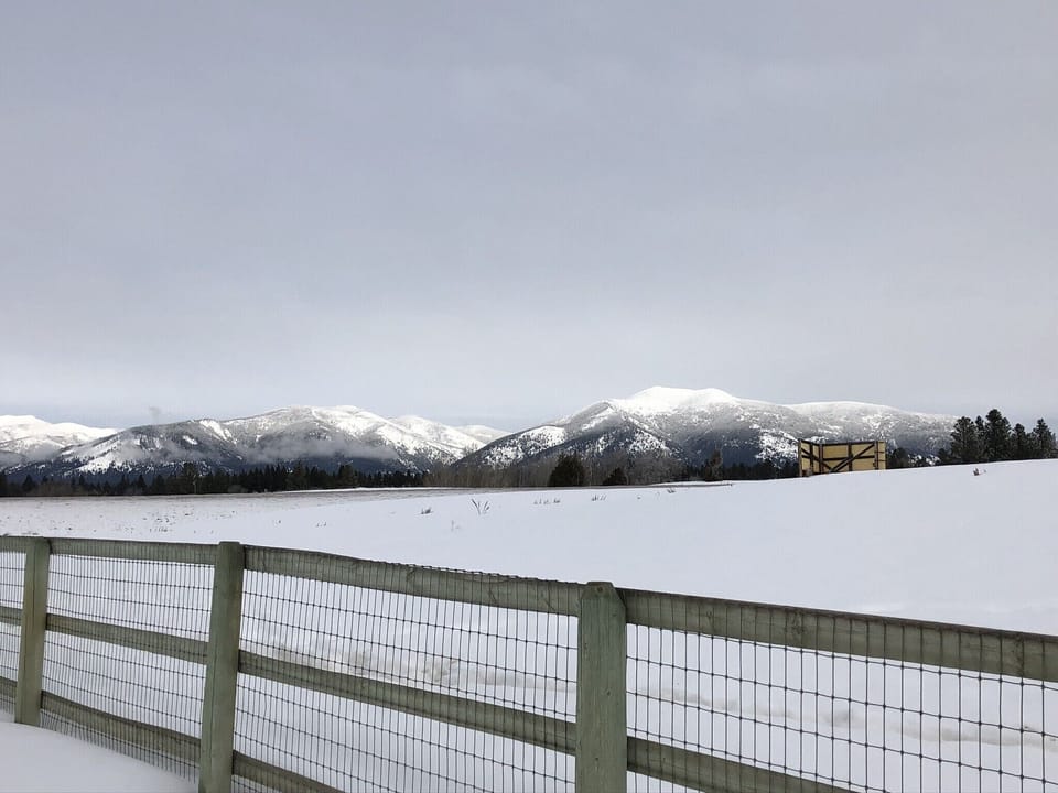 View from property