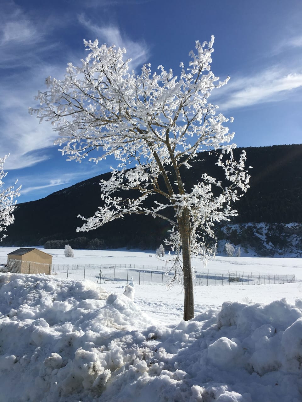 Snow and ski sports