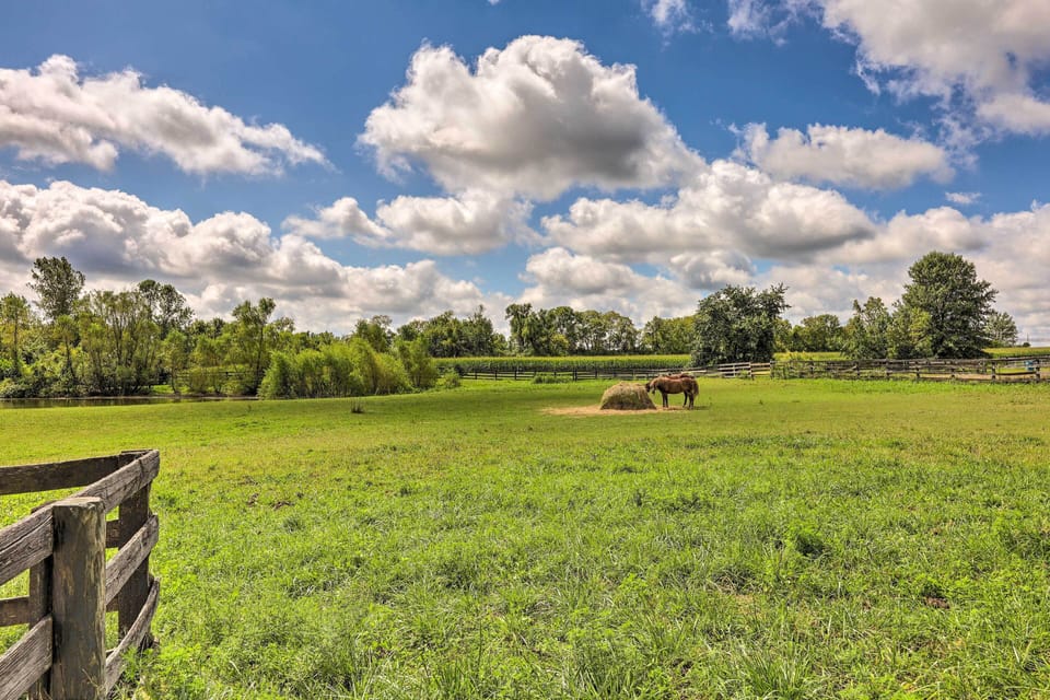 30-Acre Horse Farm