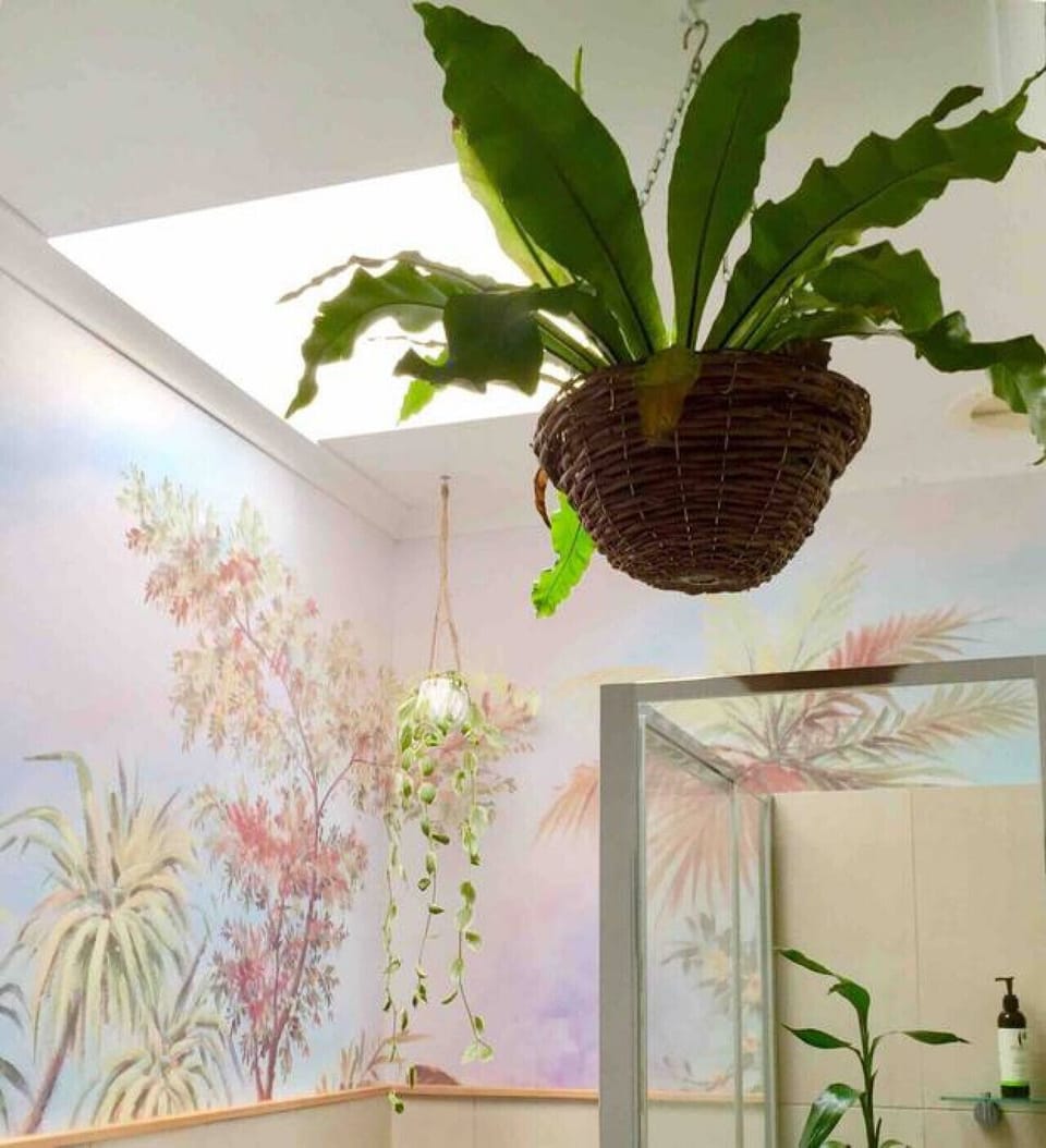 Wayfarer Apartment- Shower amongst the tropical foliage in the rainforest inspired bathroom