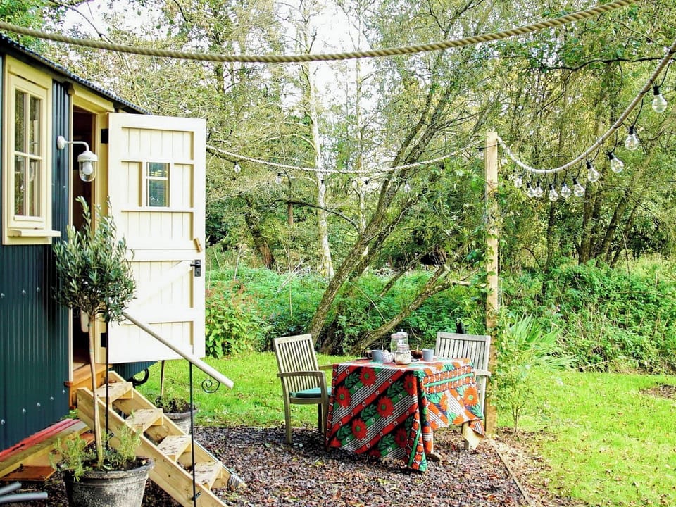 Outdoor area | The Beech Hut, Lower Wraxall, Dorchester