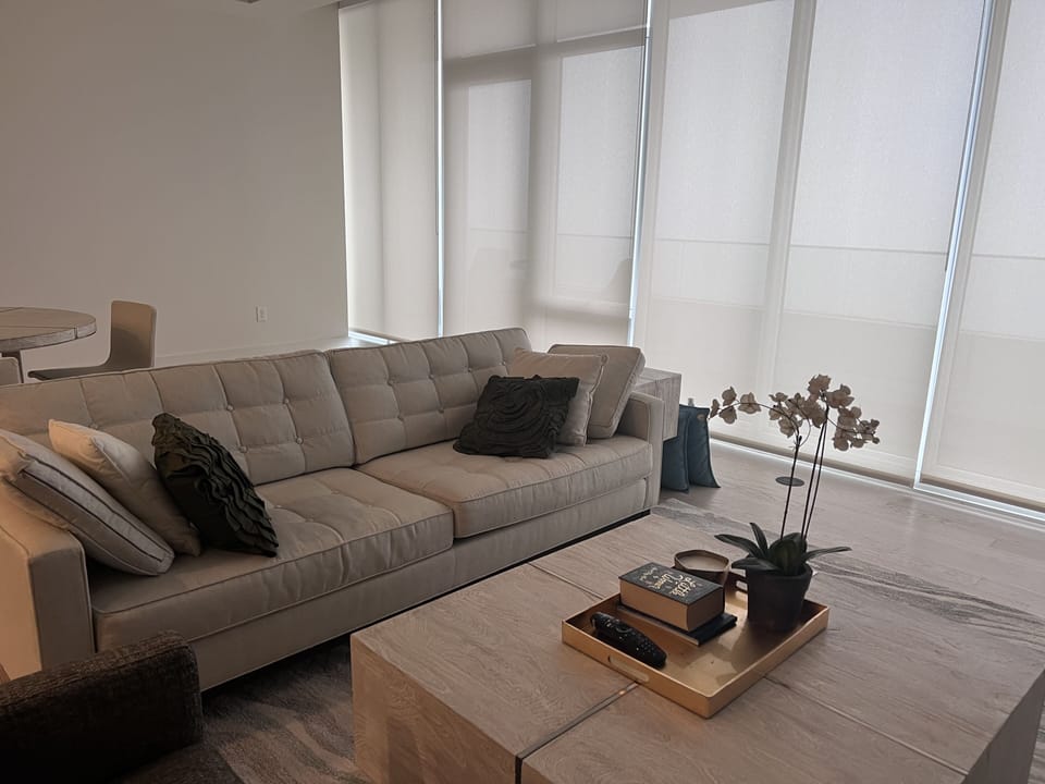 Living room with Wifi-abled speaker, interactive 66in LG TV