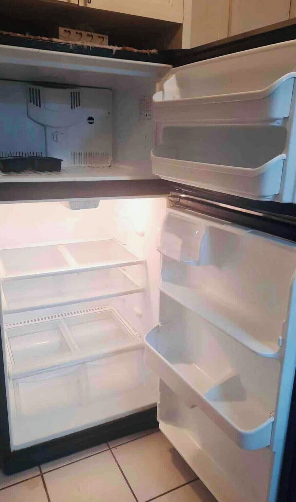 Fridge