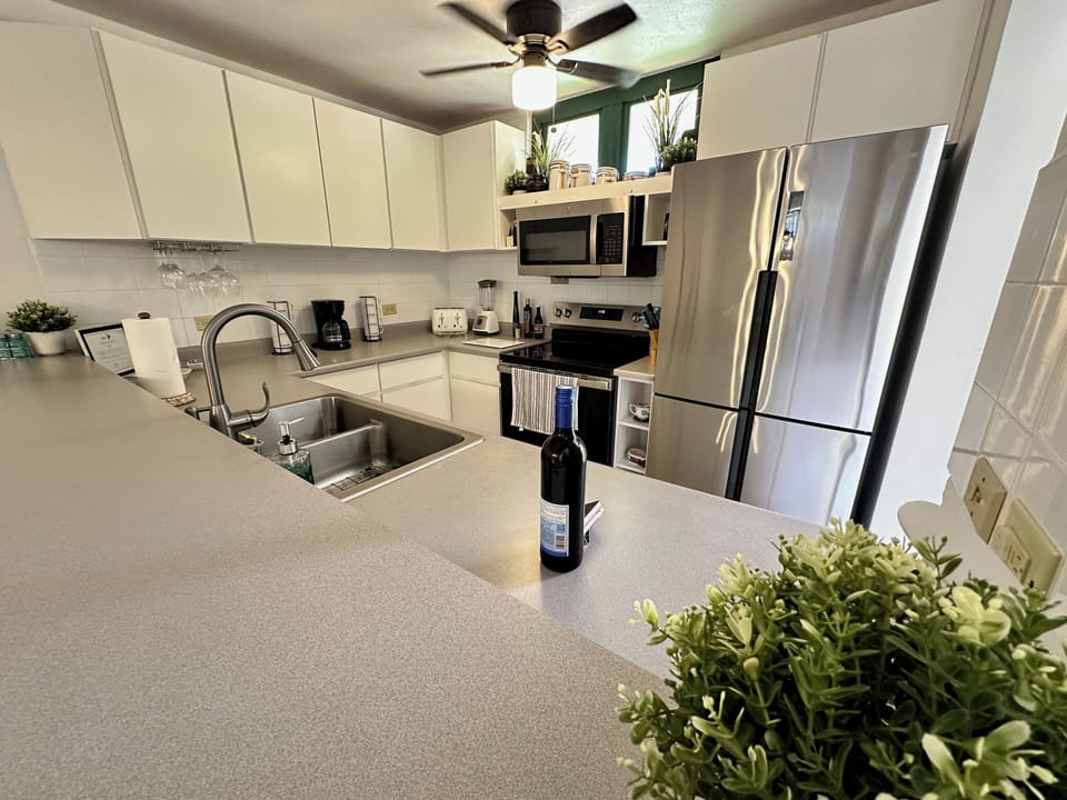 New appliances: stove, micro and refrigerator