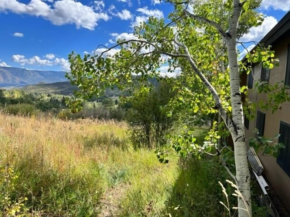 Back Yard with Walking Trails
