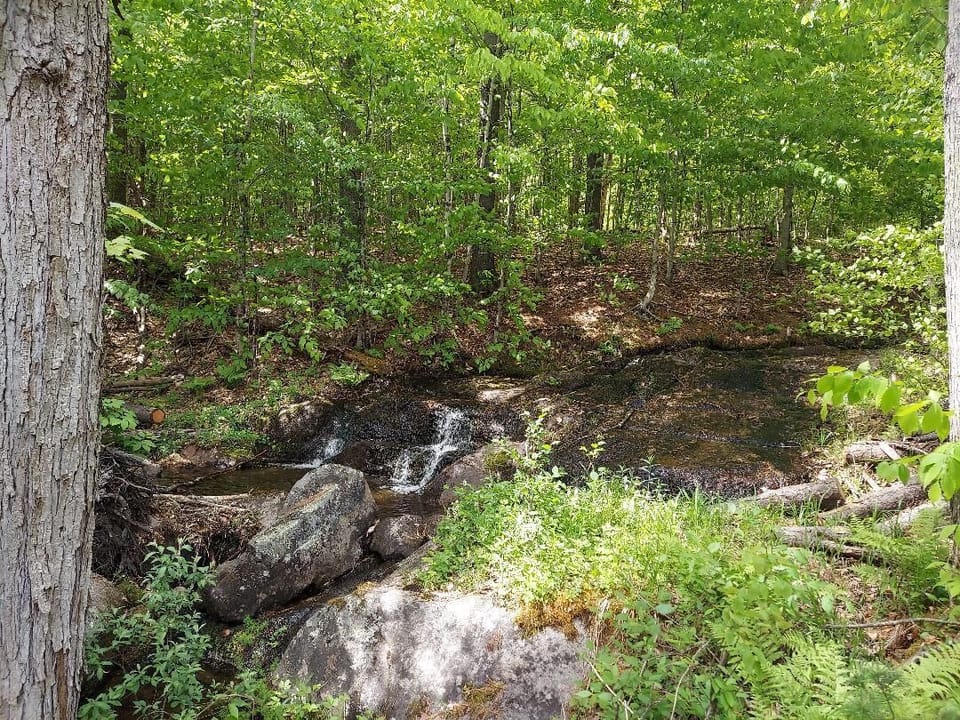 Stream, waterfall in back