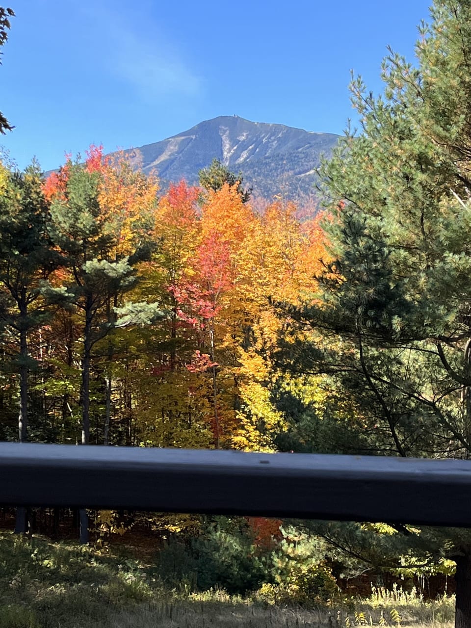 View from the front porch of AMV Chalet! 